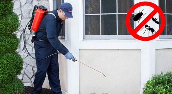 Alaybey Fare İlaçlama böcek ilaçlama ve haşere kontrolü — ilaclama-tr.com
